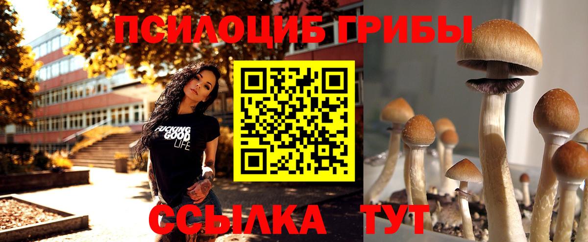 Псилоцибиновые грибы Psilocybine cubensis  Вход с VPN  Кропоткин 